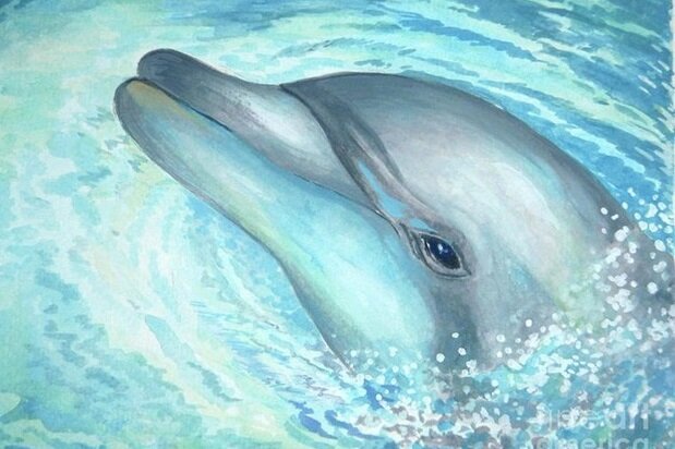 Скопировано с Яндекс-картинок, ссылка на https://www.pinterest.ru, автор неизвестен