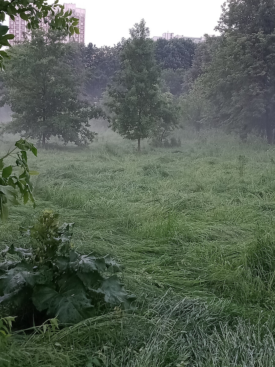 просто сказка