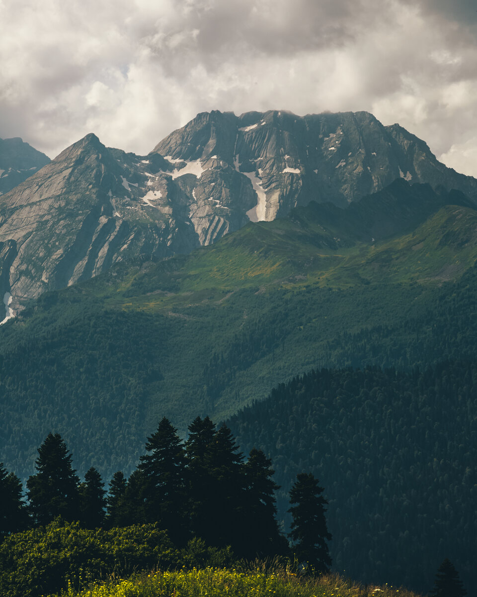 Инвестиции в недвижимость Сочи - высокая доходность и минимальные риски