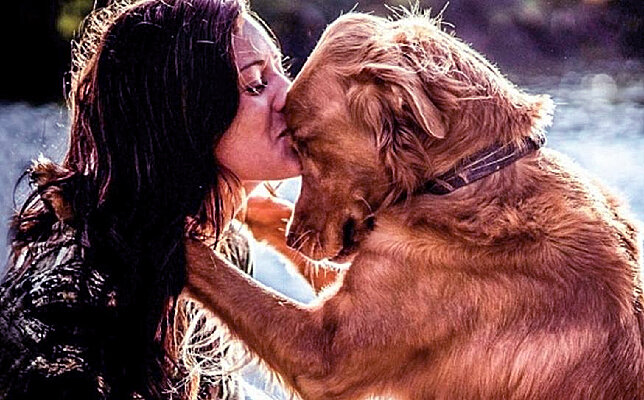 «Дети» наши хвостатые...