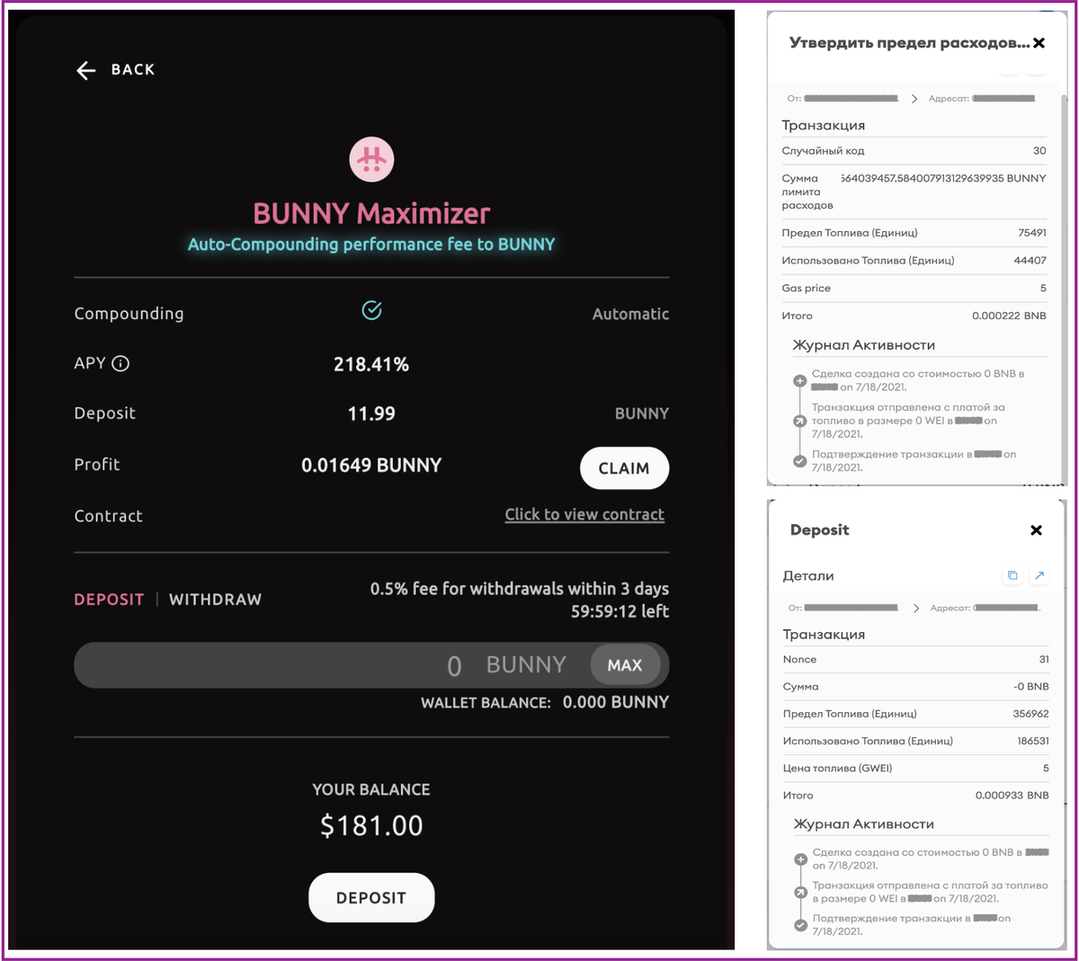 Рис 1. Ввод средств в пул Bunny Maximizer 18.07.2021 (скрин позиции от 19.07.2021)