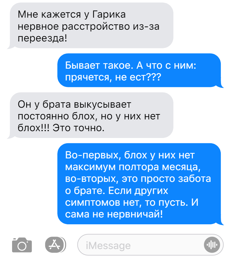 Записки дзен