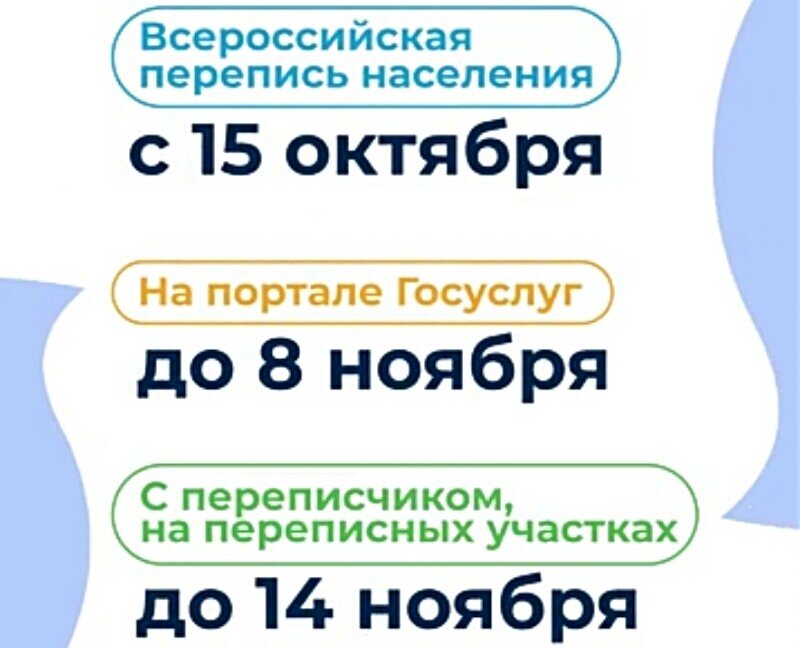 Скриншот видео размещённого на сайте strana.2020.ru