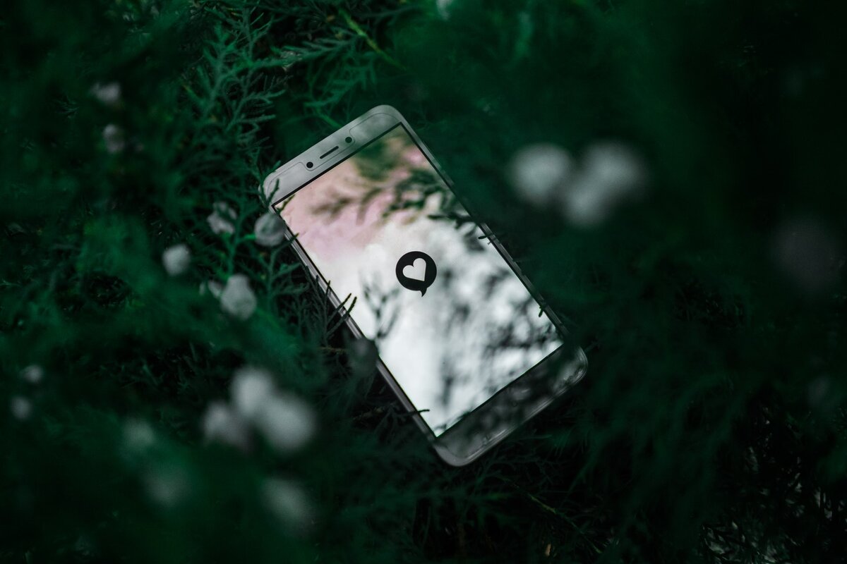 Фото — unsplash.com