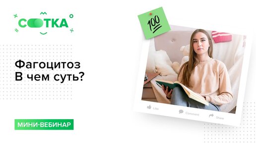 Фагоцитоз. В чем суть? | БИОЛОГИЯ ЕГЭ | СОТКА