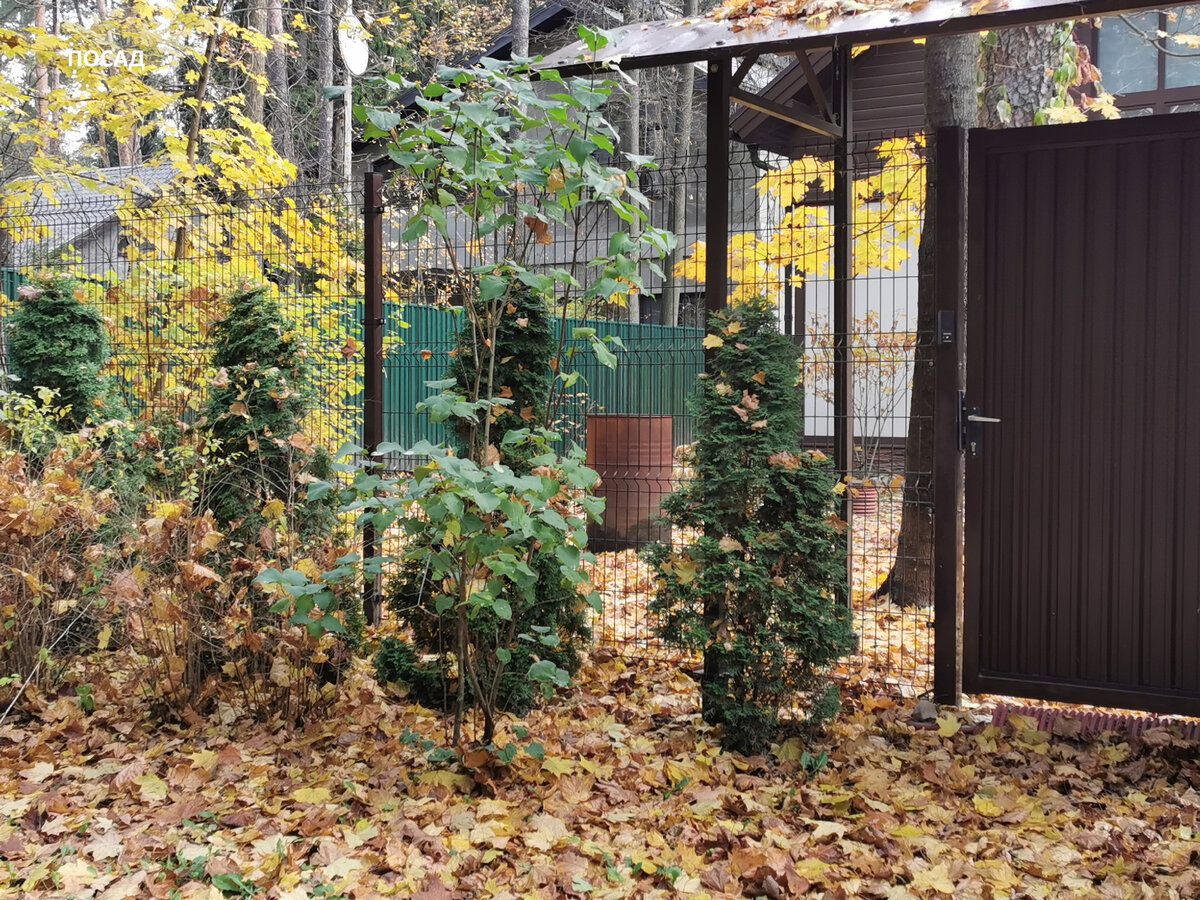 «Забор-шахматка». «Хитрый» сплошной забор, к которому не смогут ...