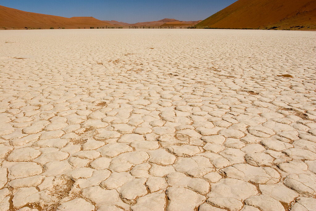 Яндекс коллекция