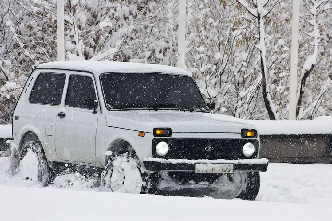 нива по снегу