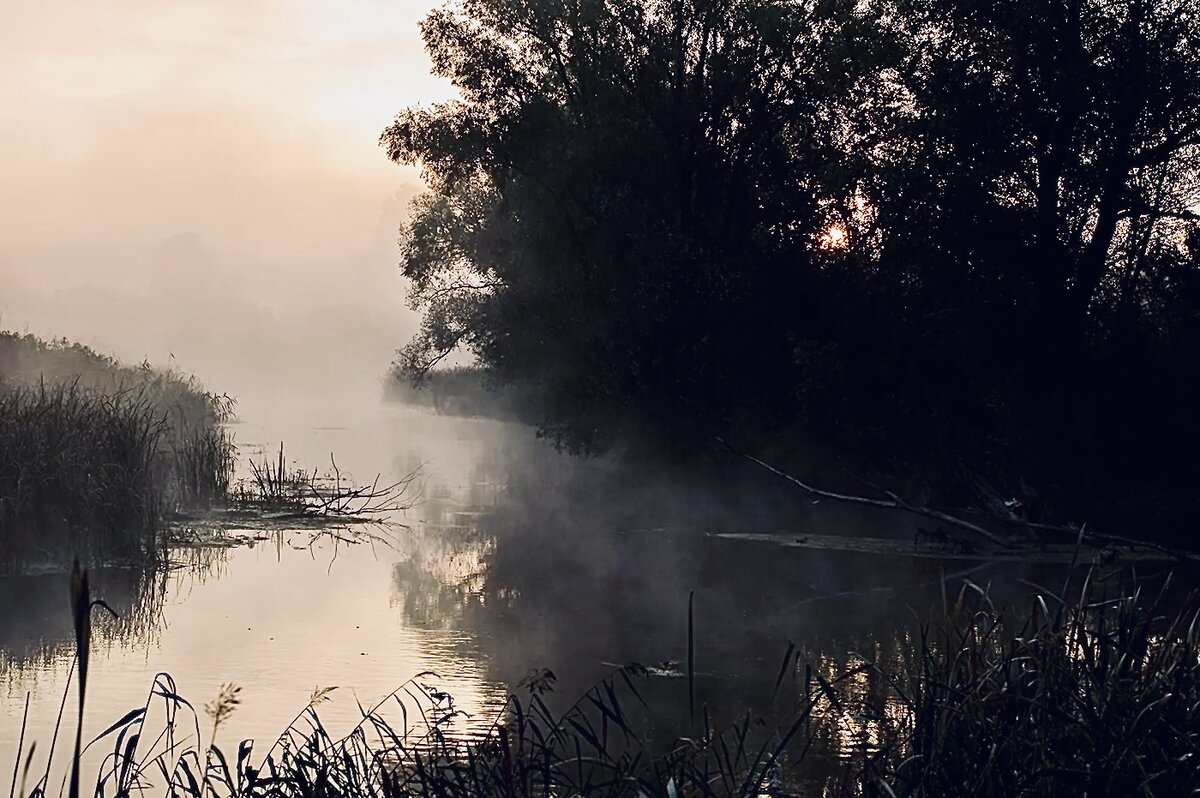 Источник Яндекс Картинки 