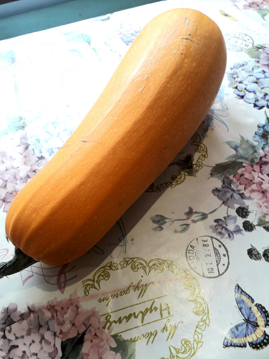 Беру один средний кабачок,мою