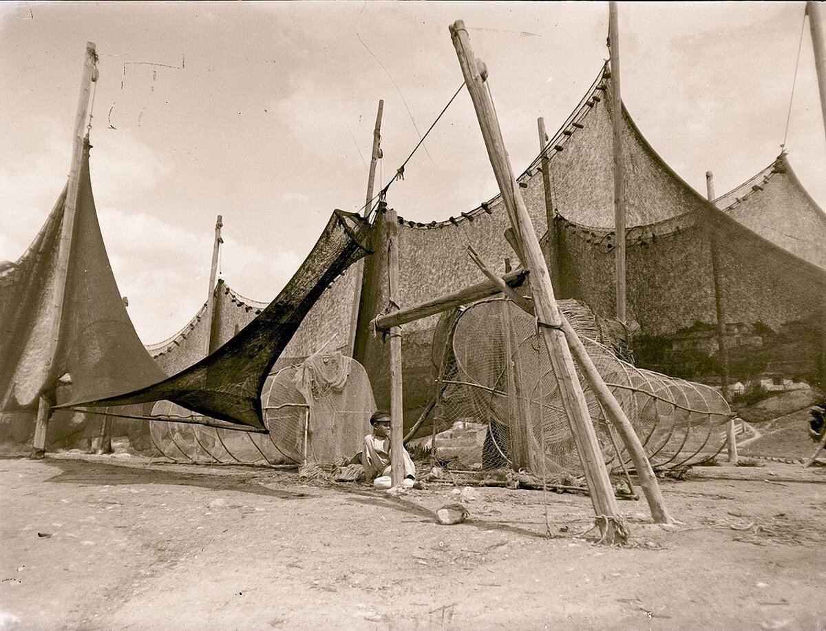 Сети на Северной стороне. 