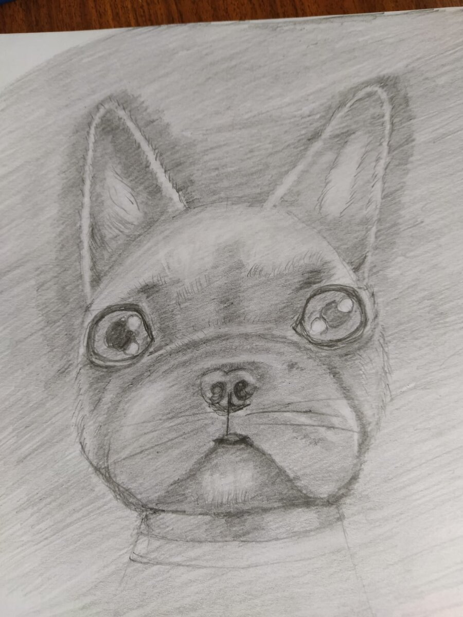 Ребята, всем привет! Обучаюсь рисованию карандашом у Егора Матита, ни где не училась. Результаты удивляют и вдохновляют!!! Вы знаете, что рисовать может каждый? Я начала рисовать самостоятельно 3 года назад.