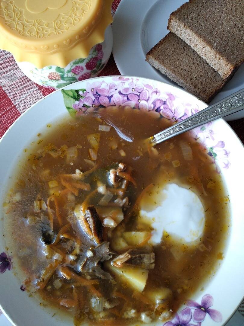 Рецепт супа с лесными сушеными грибами