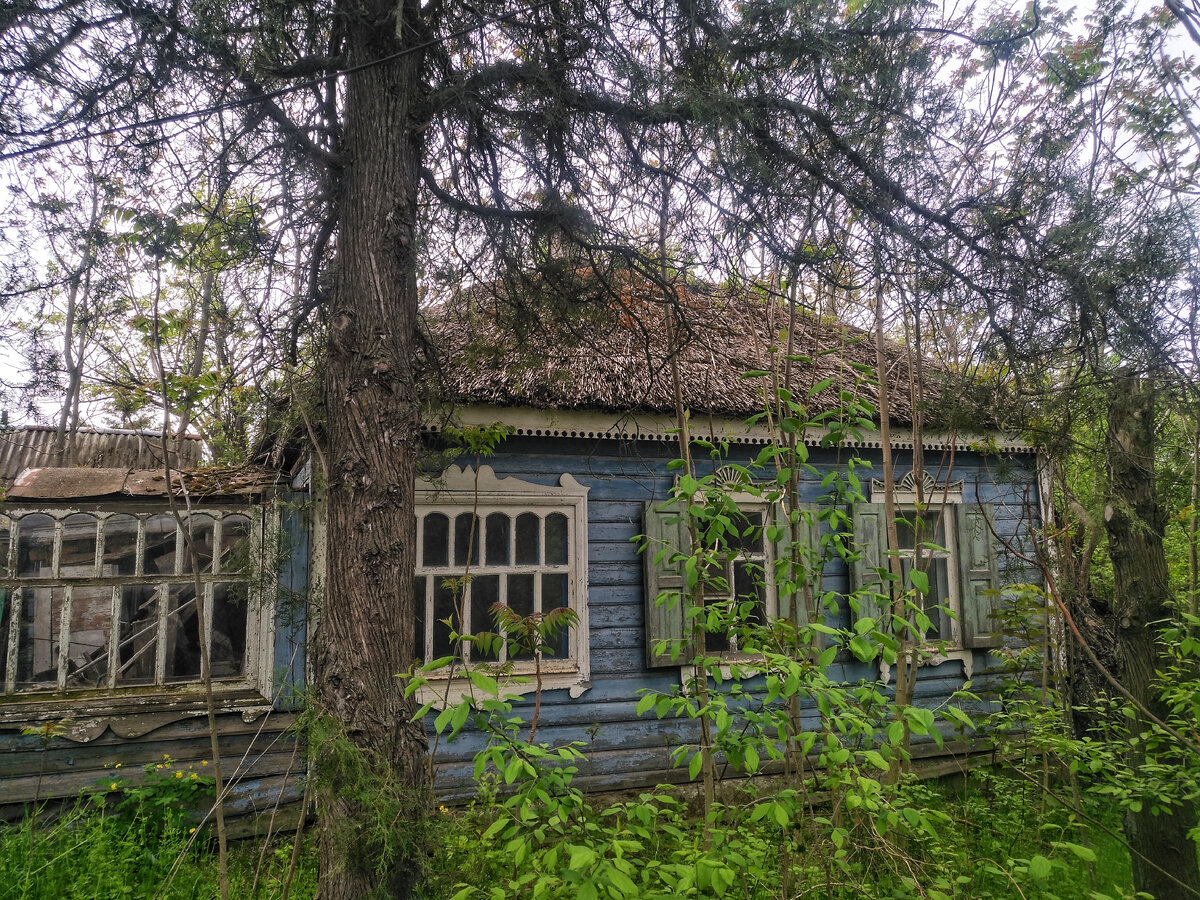 Станица Елизаветинская | С любовью о городах и весях | Дзен