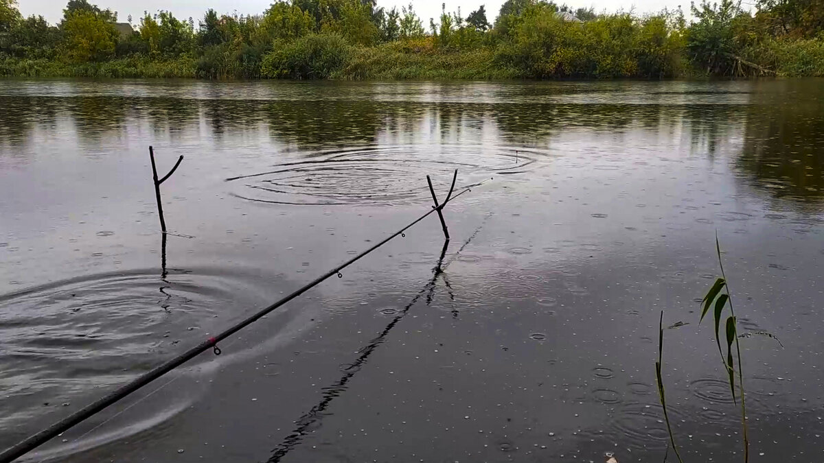 Рыбалка на карася во время дождя