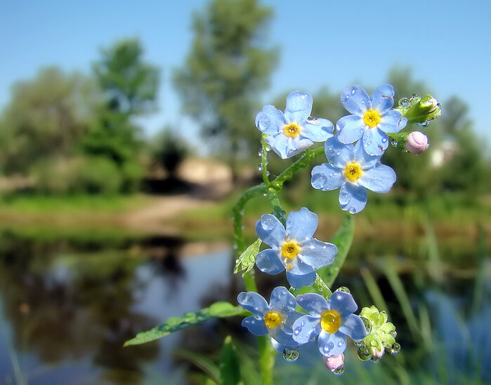 Лето... Особое время. "Маленькая жизнь", как в песне поется...