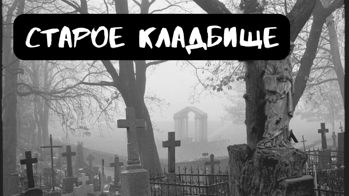 Не забудь подписаться, поставить лайк и написать в комментариях все, что думаешь об истории