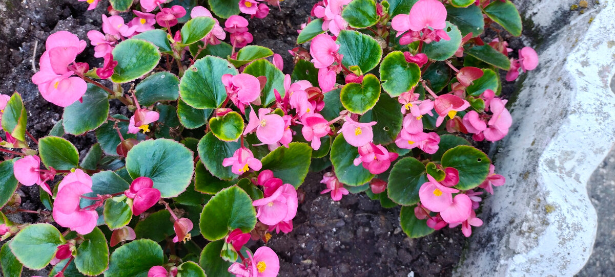 Фото автора канала