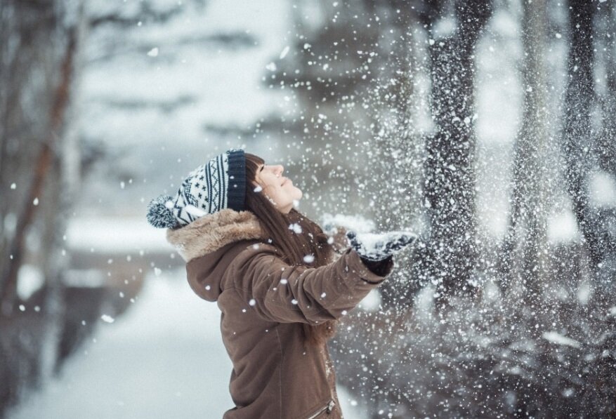 яндекс картинки
