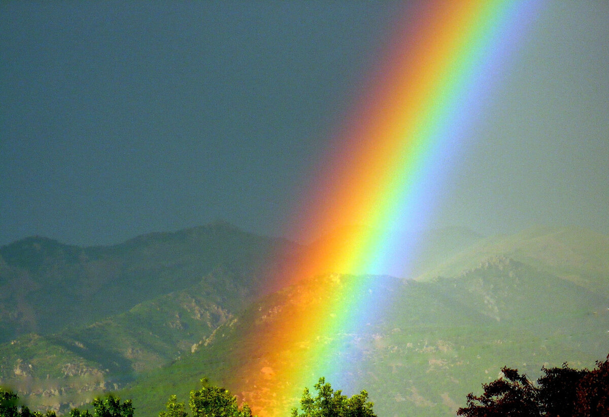 #научныйсинтезкаждого#