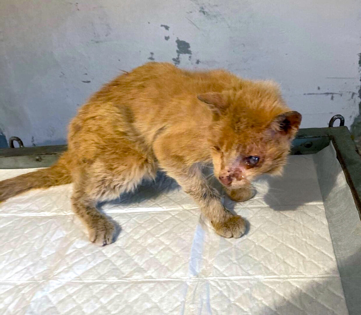 Есть еще фото, но оно будет в комментариях