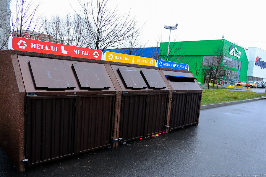 Фото: Виталий Невар / Новый Калининград