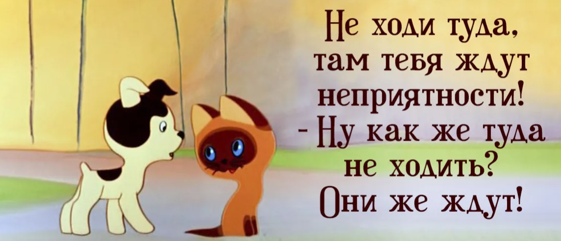 Не идти на встречу новым приключения. Котенок по имени Гав неприятности. Котенок Гав на татарском. Котенок Гав неприятности они же ждут. Котенок Гав неприятности ждут.