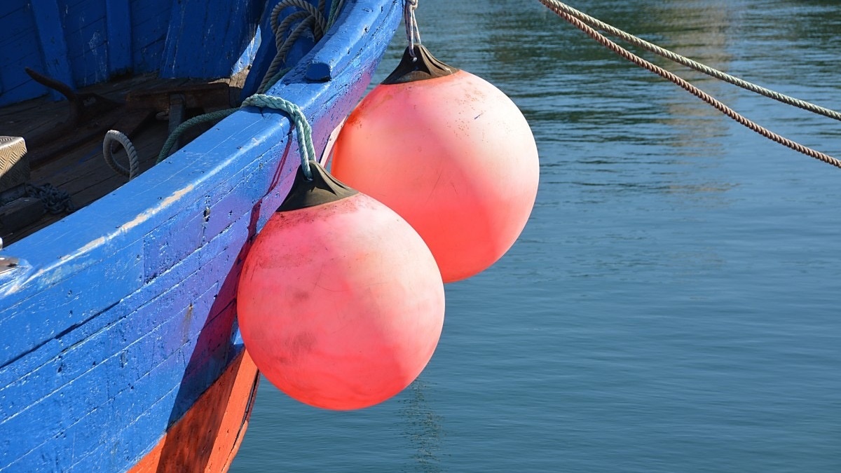     Десять человек, в том числе дети, оказались в воде: об этом сообщили в пресс-службе транспортной прокуратуры по СЗФО.