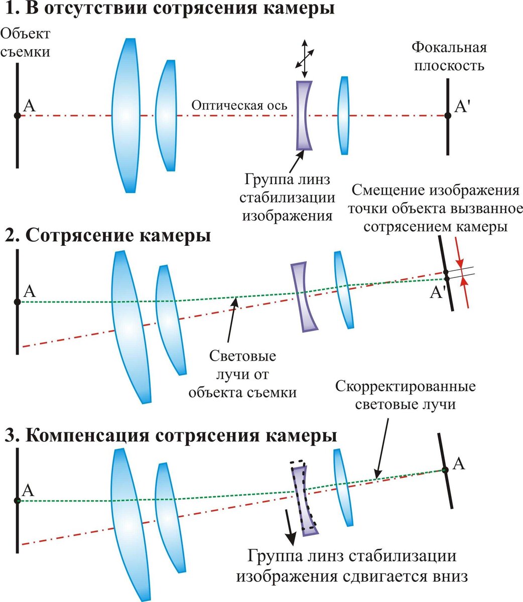 Почему мобильная фотография победила? | Лампа Электрика | Дзен