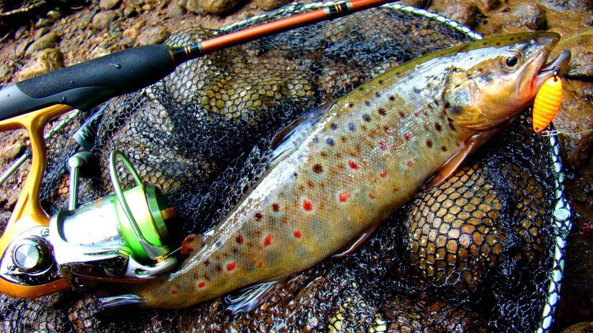 Фото с сайта: https://gruzarf.ru