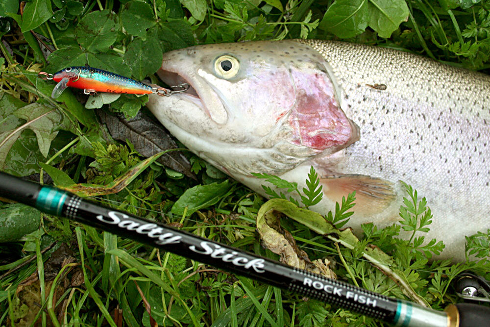 Фото с сайта: https://novikovnn.ru