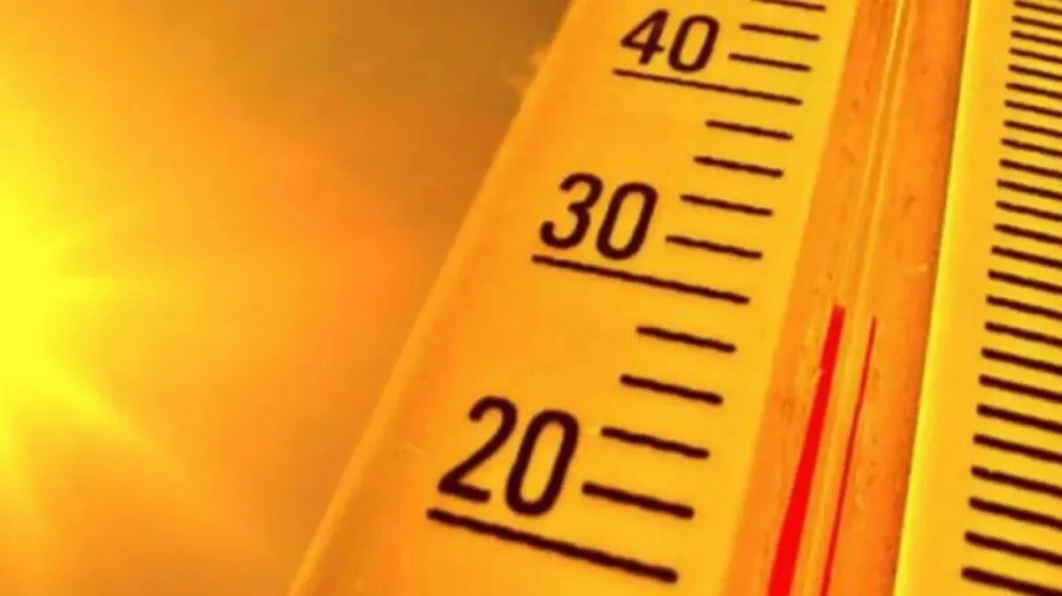 Погода обещает быть жаркой. Фото: pxhere.com