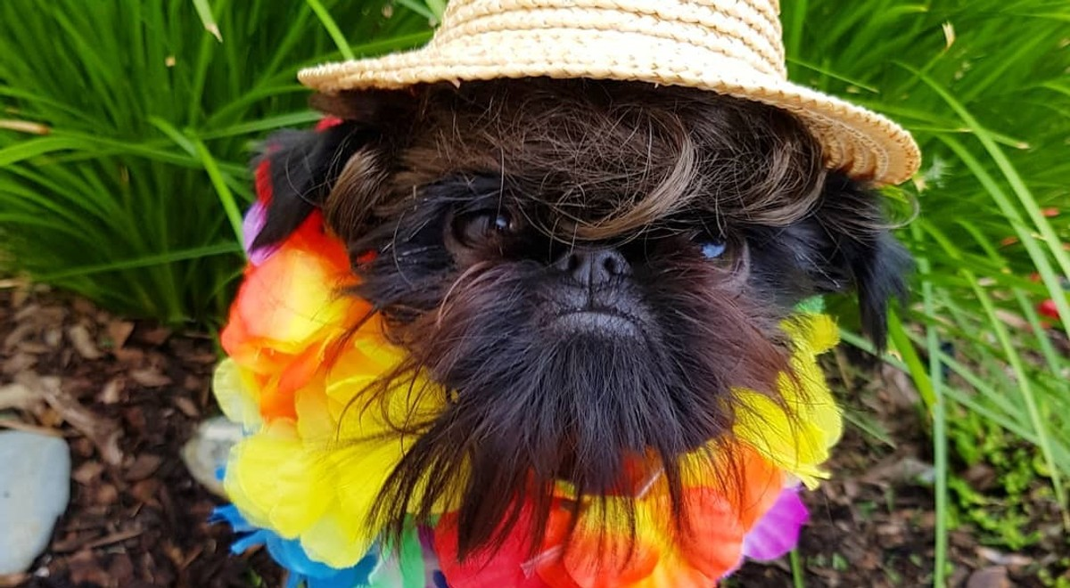 Фото из europa2.sk