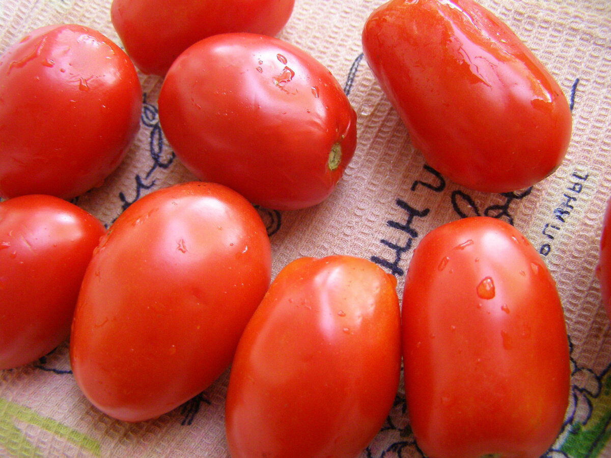 Всегда закрываю небольшими порциями, поэтому помидор беру четко по рецепту.