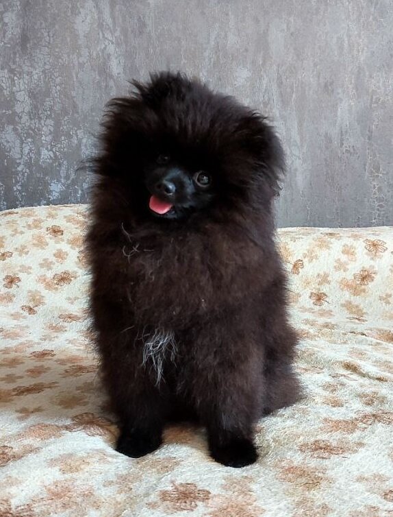 Милаше 6 месяцев