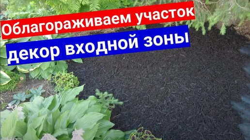 Как использовать мульчу для декора входной зоны в саду. Ландшафтный дизайн садового участка с нуля