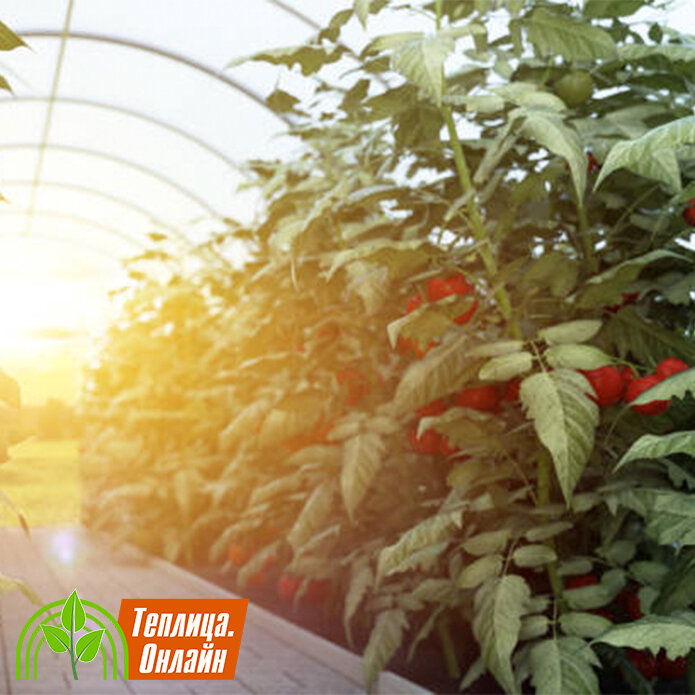 Освещенность теплицы