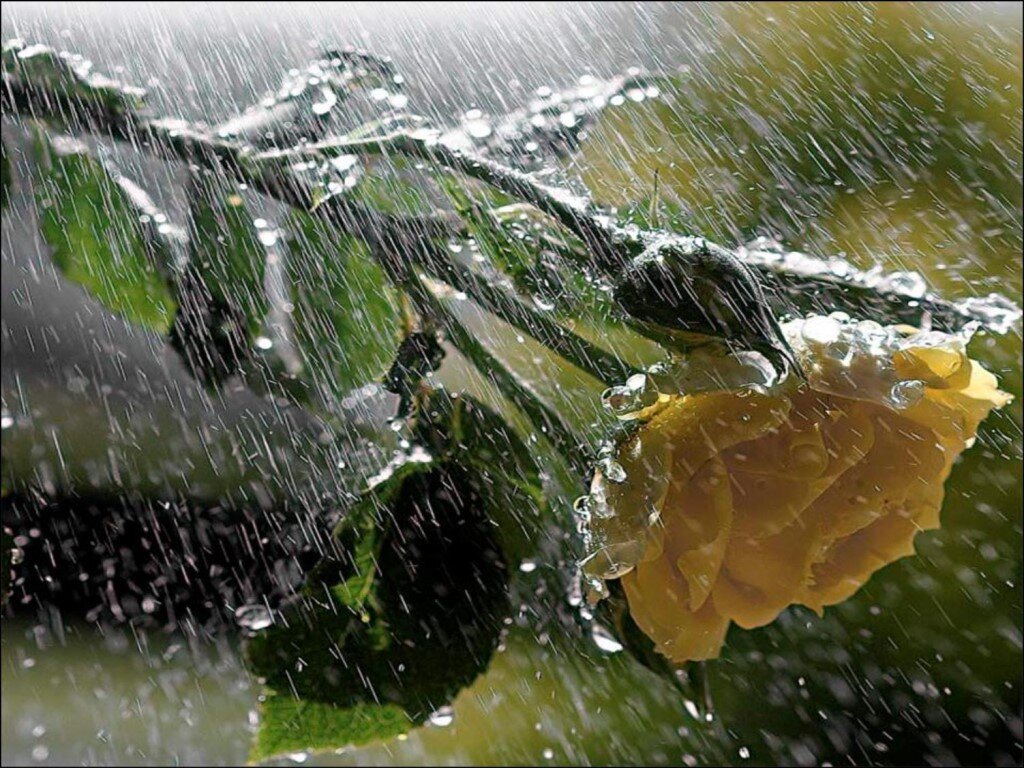 Изображение из открытых источников