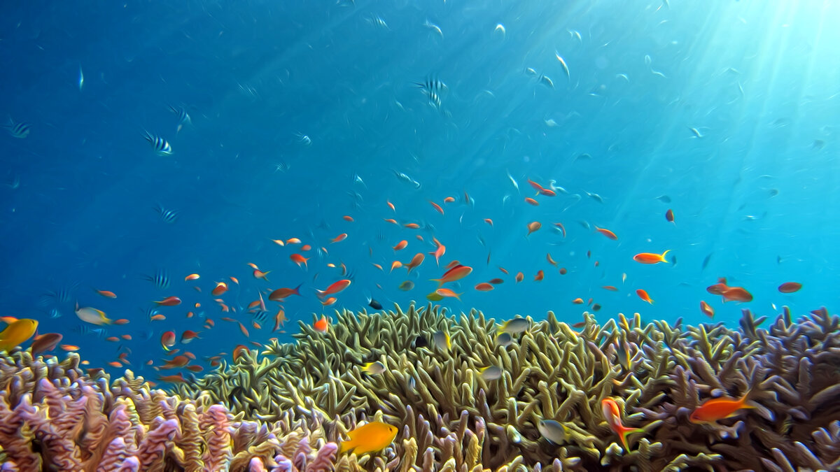 Фото Хироко Ёсии на Unsplash