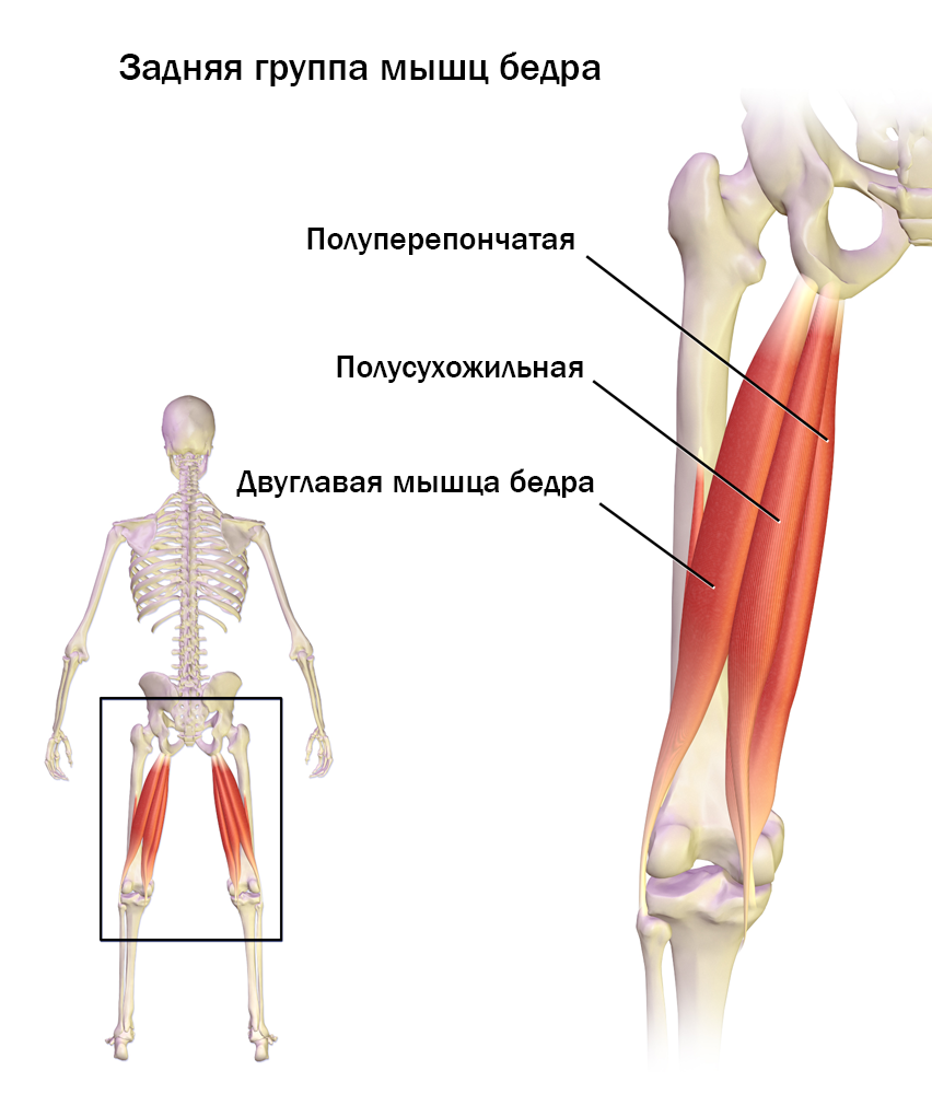 Силовое оборудование Inter Atletik Gym BT 109 для приводящих и отводящих мышц бедра