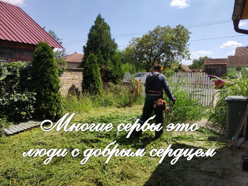 Синиша за работой