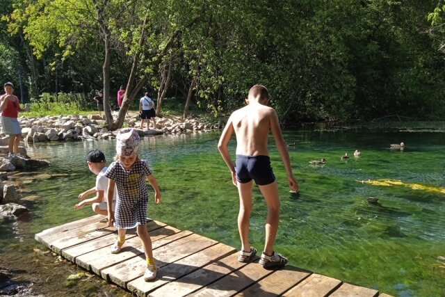    В случае с Голубыми озёрами утки — зло: загрязняют минерализованную воду органикой. Фото:  АиФ/ Венера Вольская