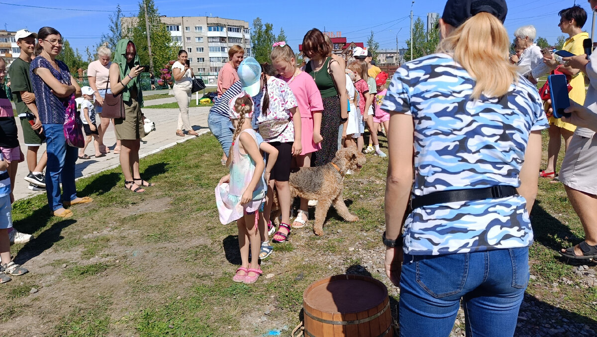 Собака ходит змейкой через детей