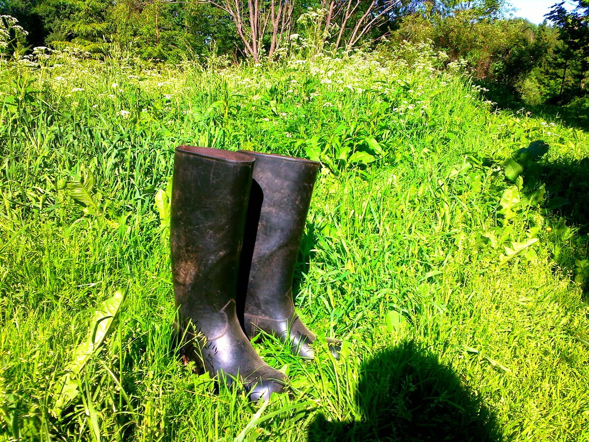 Мои любимые резиновые сапоги, произведённые ещё в СССР