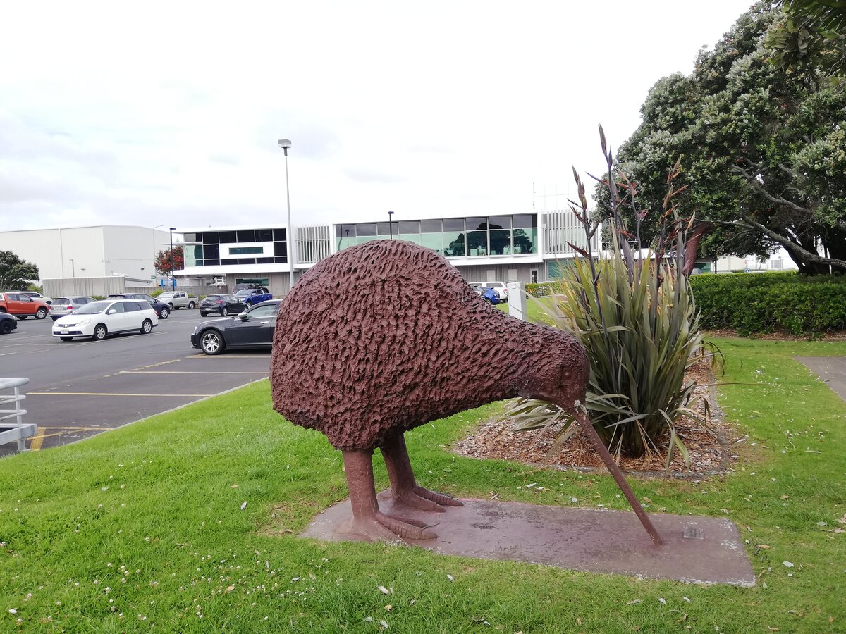 Редкая птица долетит до Новой Зеландии. Памятник киви. Аэропорт Окленда. 