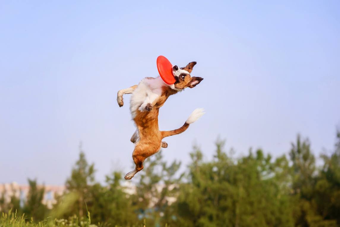 Источник: Руна Казакова/Shutterstock