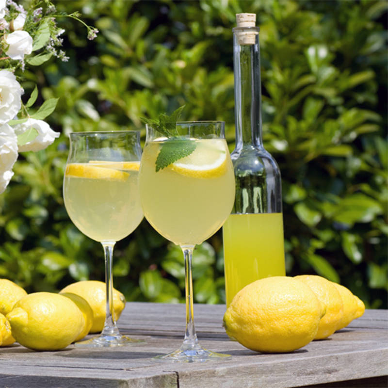 En klassiker - Limoncello Di Capri - Vinmagasinet Livets Goda / Wine Magazine