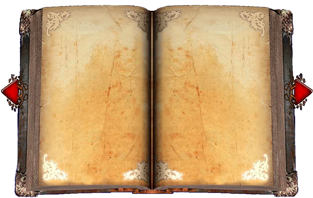 Дополнительный лист в альбоме или книге 7. Пустая книга. Разворот старой книги. Старинная книга открытая. Разворот старинной книги.