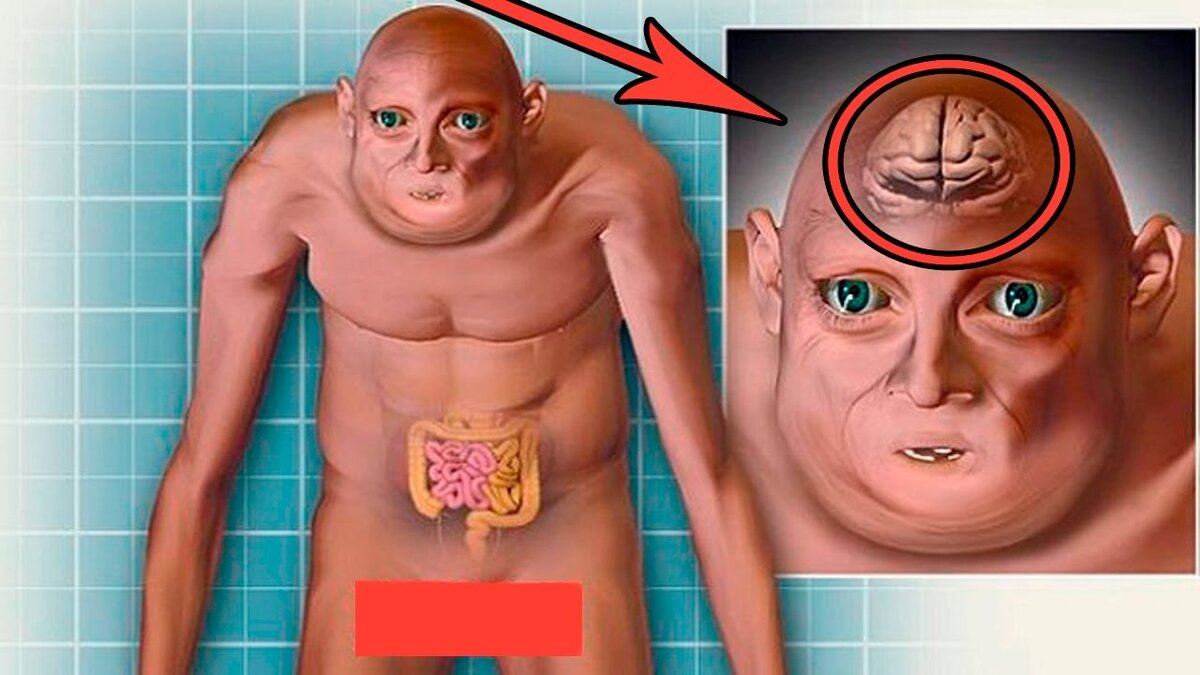 Наш потомок, по мнению каких то учёных