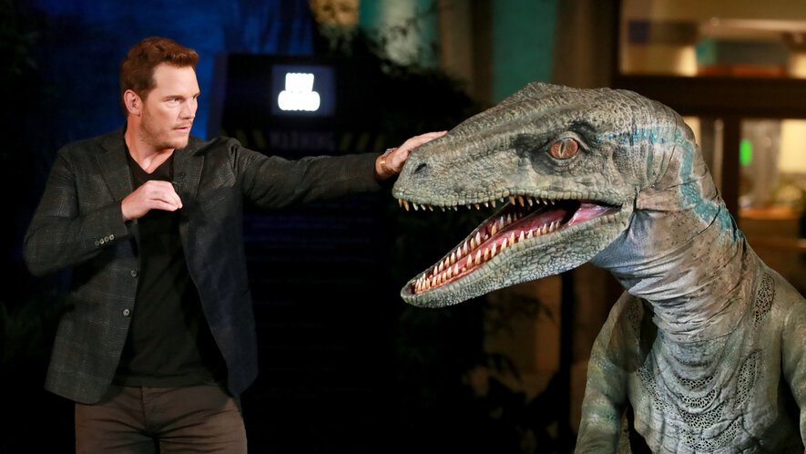 Крис Пррат и синий велоцераптор. Фото:  Рич Фьюри для студии Юниверсал.